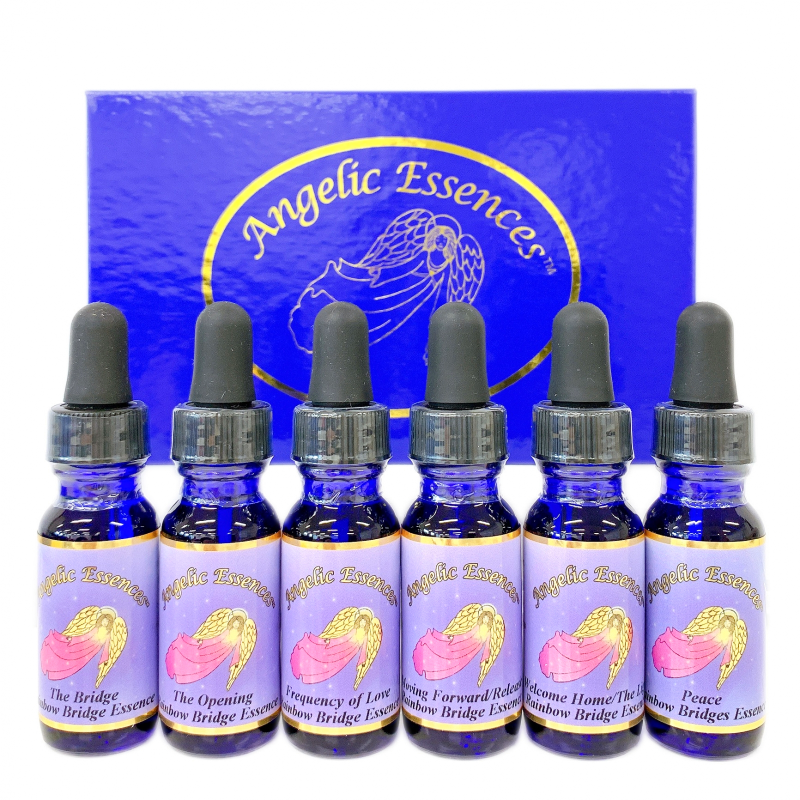 レインボウブリッジビトゥイーンザサード…キット