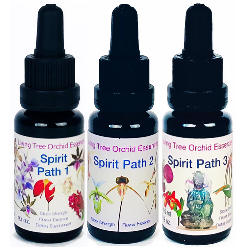 スピリットパス3本セット