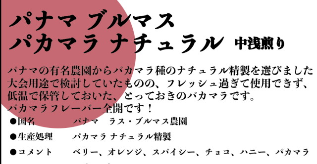 【 SCAJ 後夜祭】Panama Brumas Pacamara Natural 60g