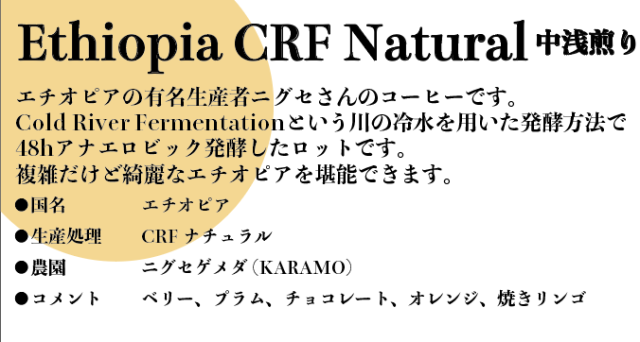 【深谷コーヒーと日常 後夜祭】エチオピア 二グセ Cold River Fermentation 60g