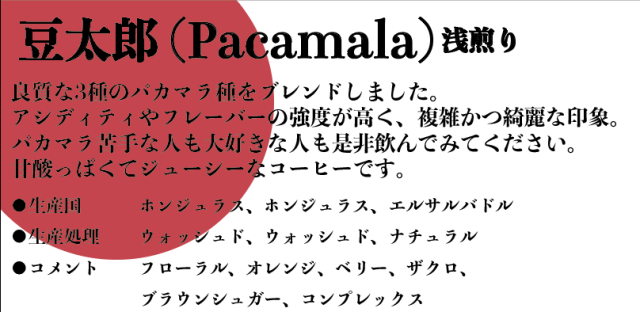 【岡山珈琲時間 後夜祭】豆太郎 (Pacamara 100% ) 60g