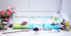 水槽用　ヒーター　3点セット テトラ 26℃セットヒーターJ 200W オートヒーター ~100L水槽 安全