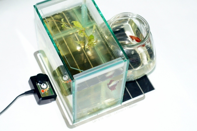 mph16w3.jpg?t=20120930190429