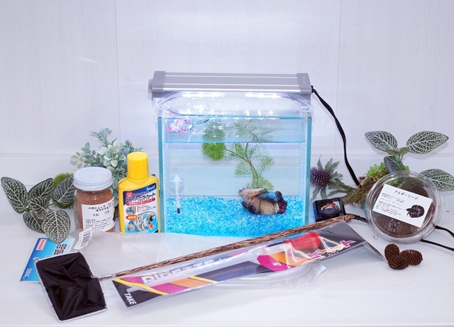 【水槽１点】ショーベタ飼育スターターセット（マルチパネルヒーター付）