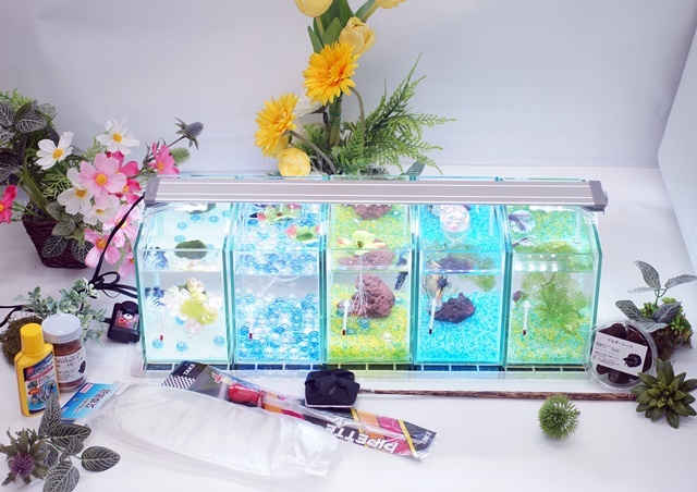 水槽5点】ショーベタ飼育スターターセット（縦置き仕様＆マルチパネル