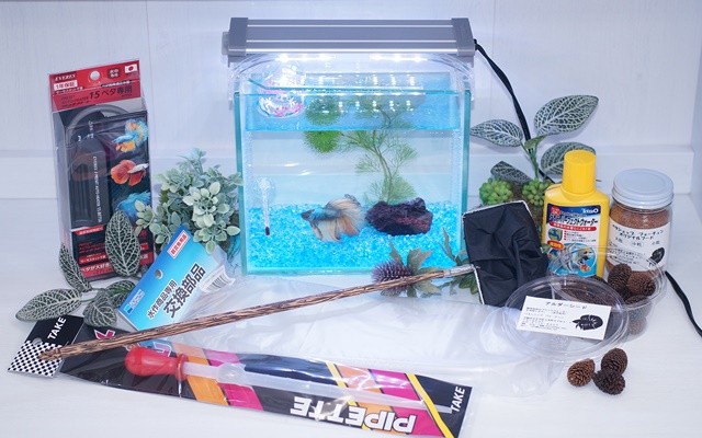 【水槽１点】ショーベタ飼育スターターセット（ベタ専用ヒーター付）