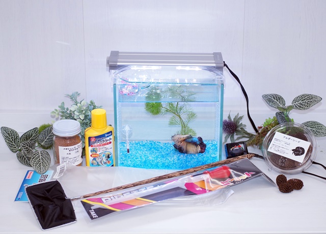 【水槽１点】ショーベタ飼育スターターセット（マルチパネルヒーター付）