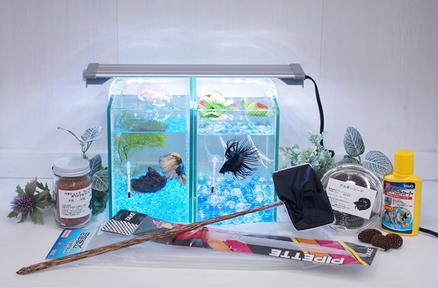 【水槽２点】ショーベタ飼育スターターセット（水槽縦置き仕様＆ヒーターなし）