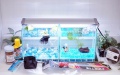 【水槽２点】ショーベタ飼育スターターセット（横置き仕様＆マルチパネルヒーター付）