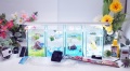 【水槽４点】ショーベタ飼育スターターセット（縦置き仕様＆マルチパネルヒーター付）