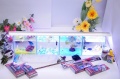 【水槽４点】ショーベタ飼育スターターセット（横置き仕様＆ベタ専用ヒーター付）