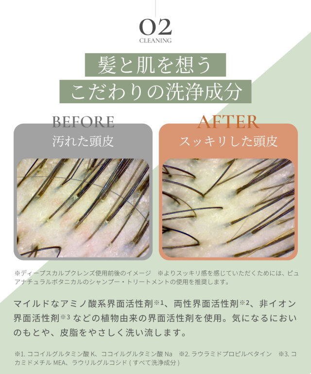 ピュアナチュラルボタニカル｜ディープスカルプクレンズ+1DAY