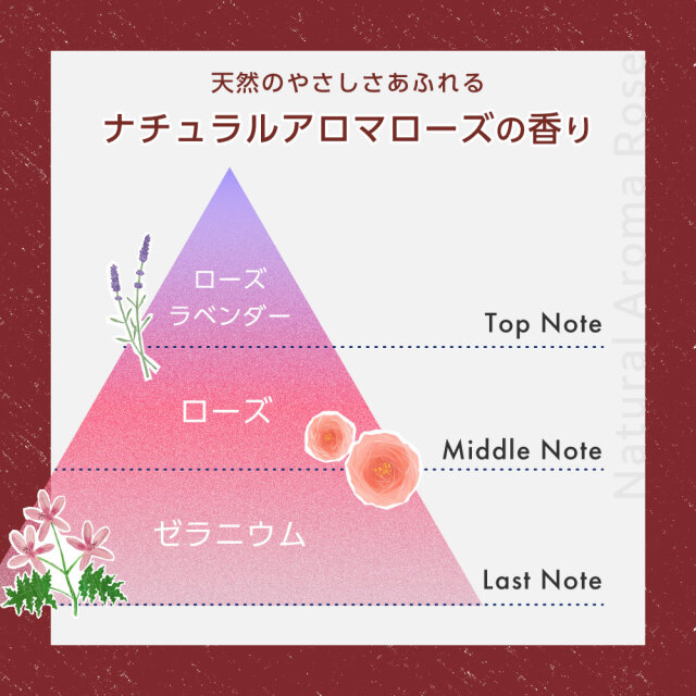 送料無料】ロレッタ｜ハードゼリー bーexオンラインショップ