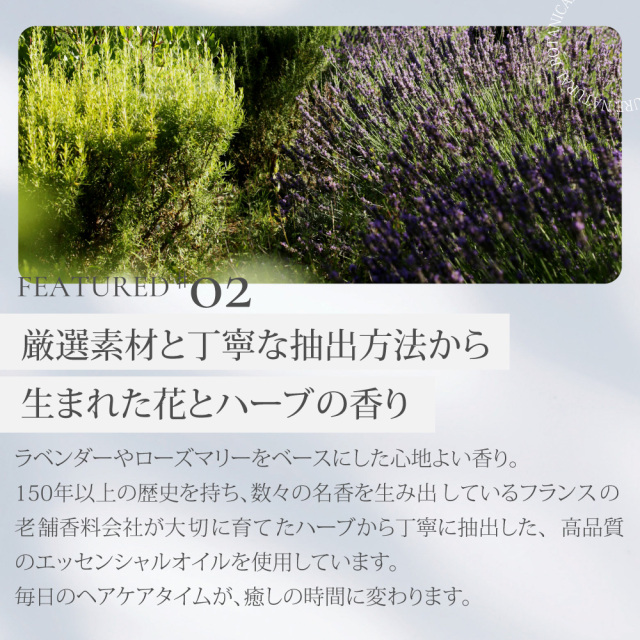 ピュアナチュラルボタニカル｜スムースケアシャンプー つめかえ bー