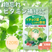 イチョウ葉＋しっかり野菜定期便