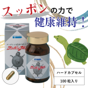 スッポンナイト