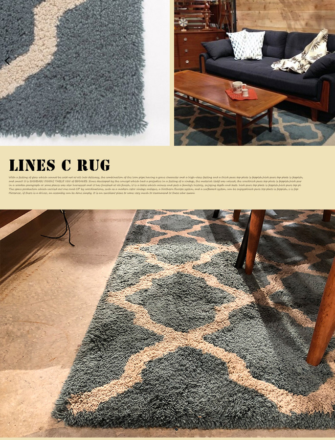 ACME Furniture アクメファニチャー ラグ カーペット