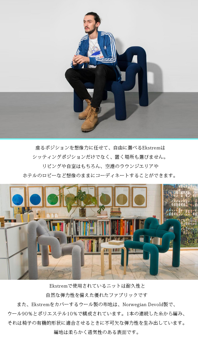 チェア エクストレム バランスチェア イージーチェア 椅子