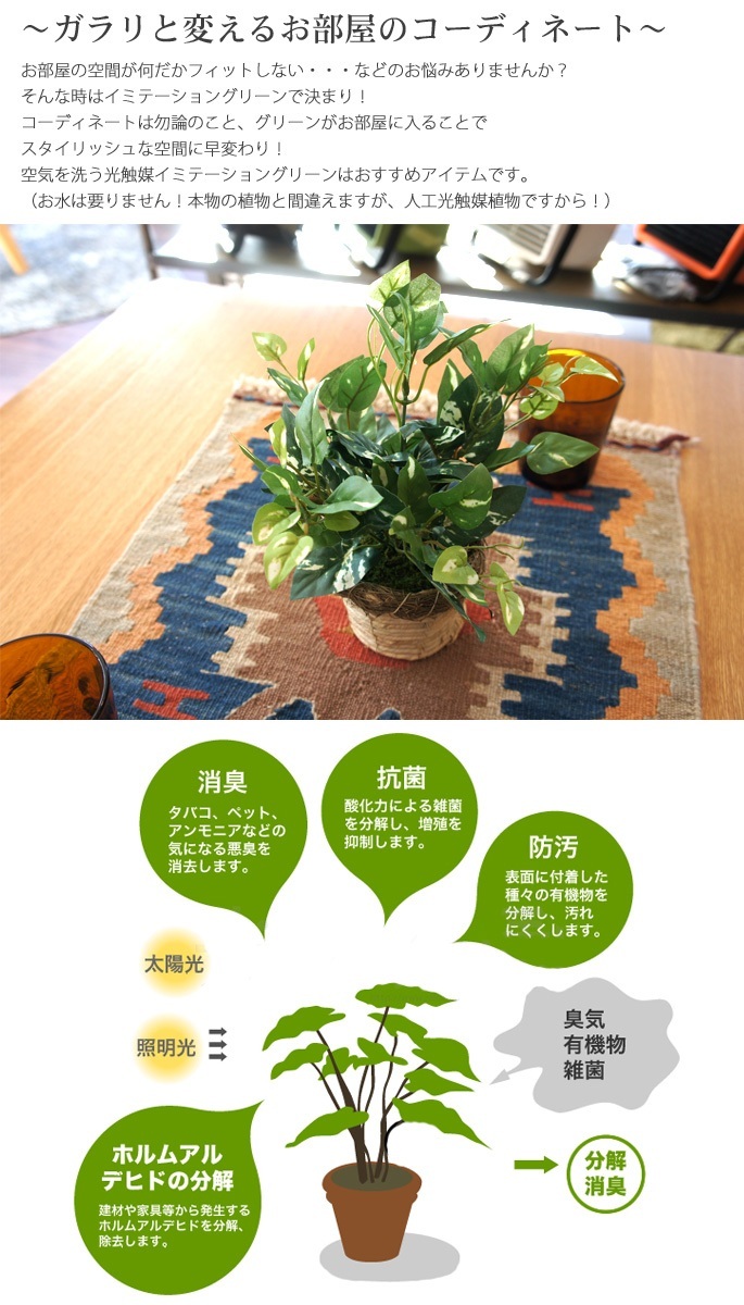 大塚家具にて購入‼︎ イミテーショングリーン