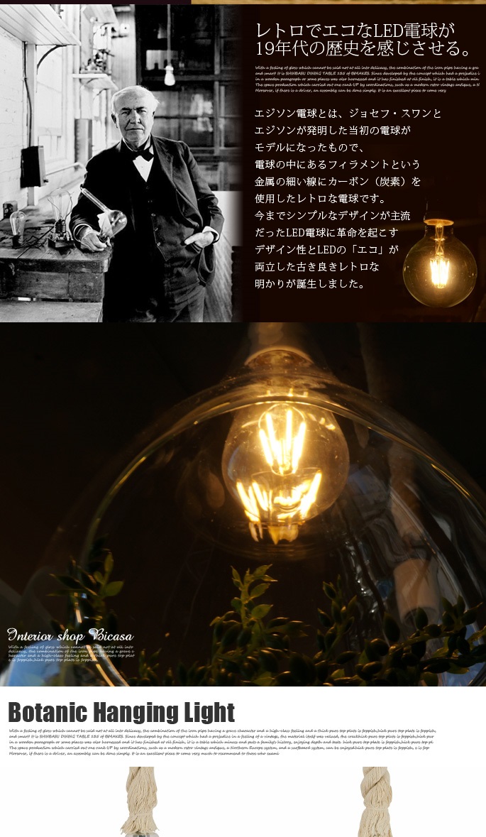 APE-021WH LEDペンダントライト/天井照明 スワン電器 Another garden APE-021WH BOTANIC HANGING LIGHT APE-021