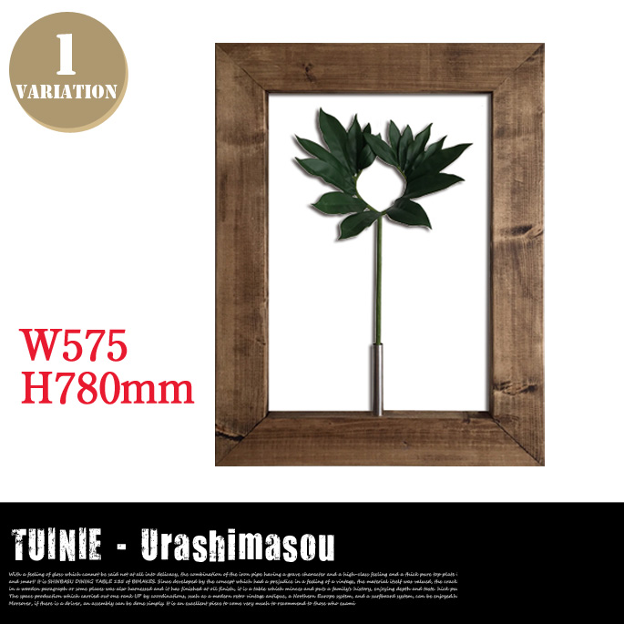 TUINIE　ITN　52401　Urashimasou　JIG