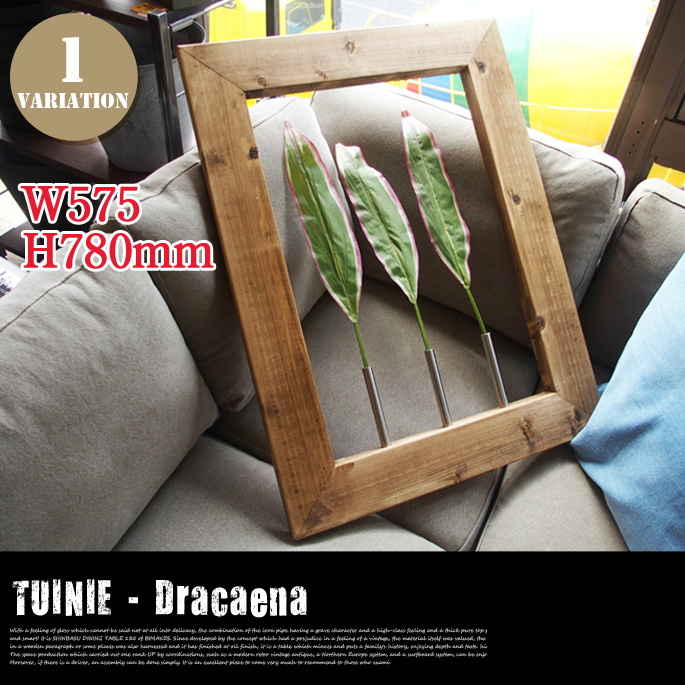 TUINIE　ITN　52436　Dracaena　JIG