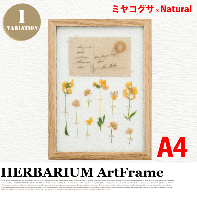 リーフアート ミヤコグサ