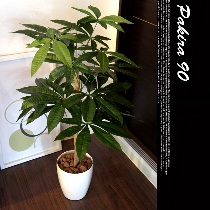 パキラ90 209A100 光触媒 イミテーショングリーン 消臭 抗菌 防汚 ポリエステル ポリエチレン FRP 日本製