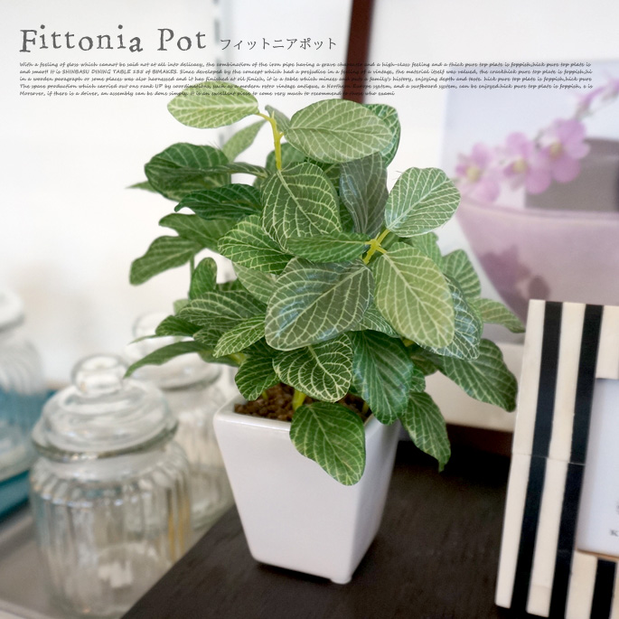 フィットニアポット 光触媒　イミテーショングリーン　テーブルタイプ