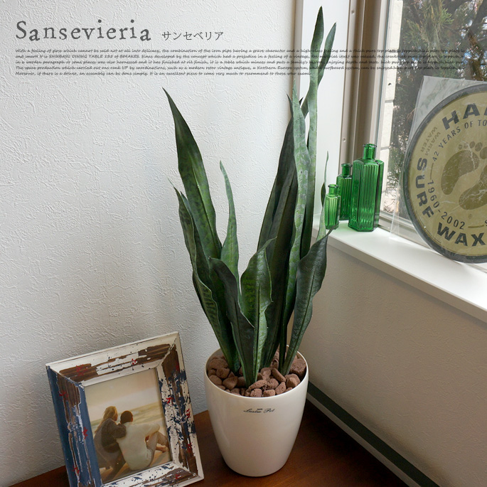 サンセベリア 光触媒　イミテーショングリーン　テーブルタイプ