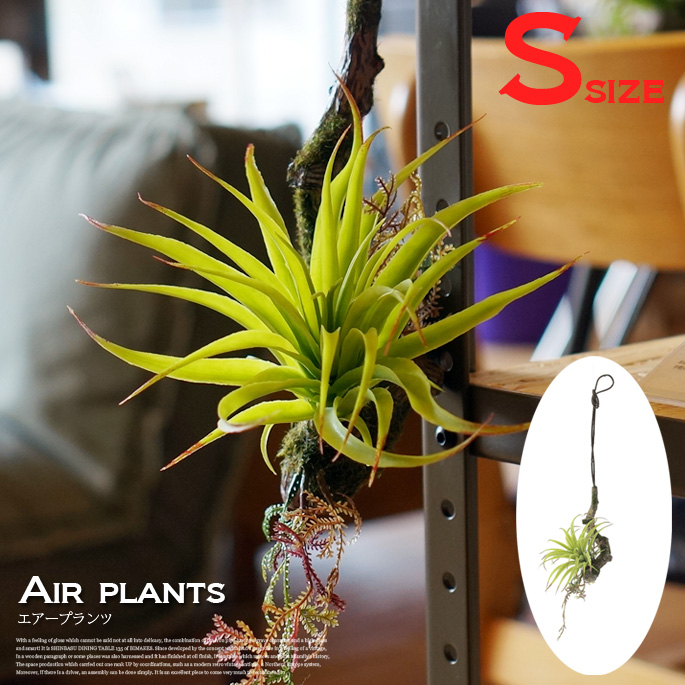 エアープランツS 光触媒 イミテーショングリーン