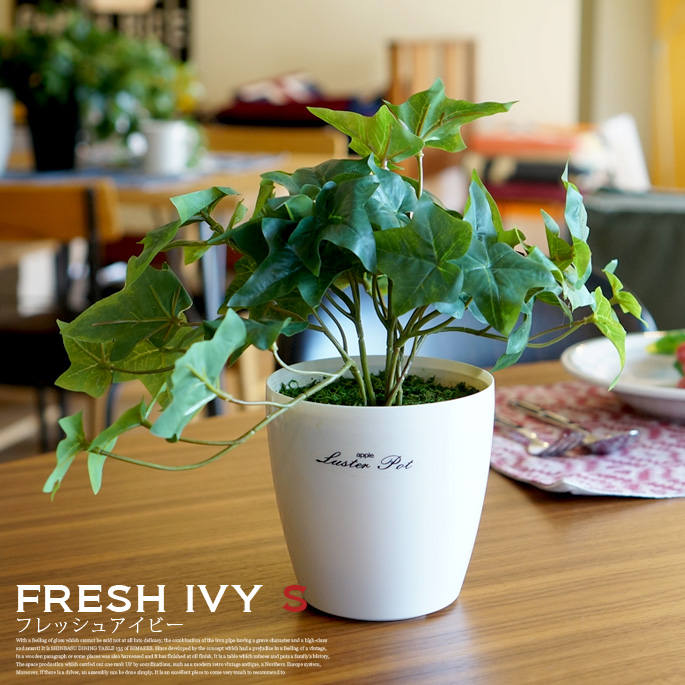 フレッシュアイビーS 光触媒 イミテーショングリーン