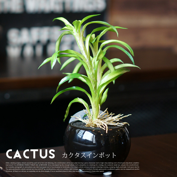 カクタスインポット 光触媒 イミテーショングリーン