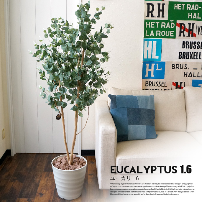 ユーカリ　1．6　光触媒 イミテーショングリーン