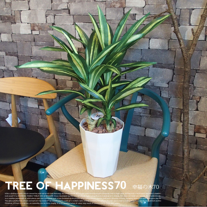 幸福の木70　光触媒 イミテーショングリーン