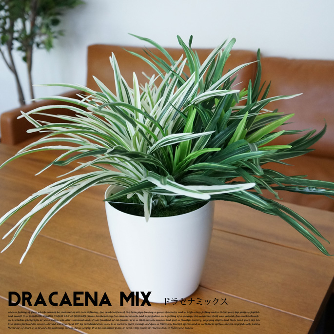 ドラセナミックス 光触媒 イミテーショングリーン