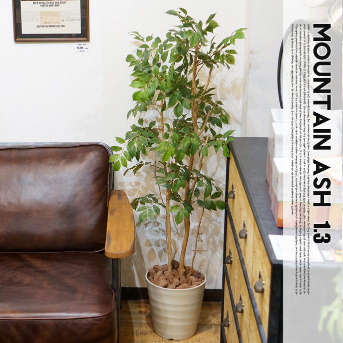 マウンテンアッシュ1.3(mountain ash ) 光触媒 イミテーショングリーン 送料無料
