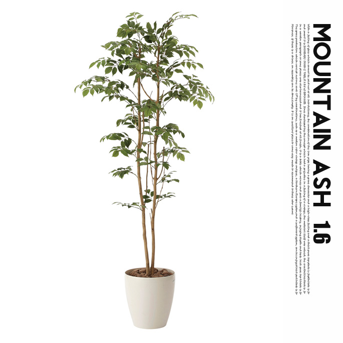 マウンテンアッシュ1.6(mountain ash ) 光触媒 イミテーショングリーン 送料無料
