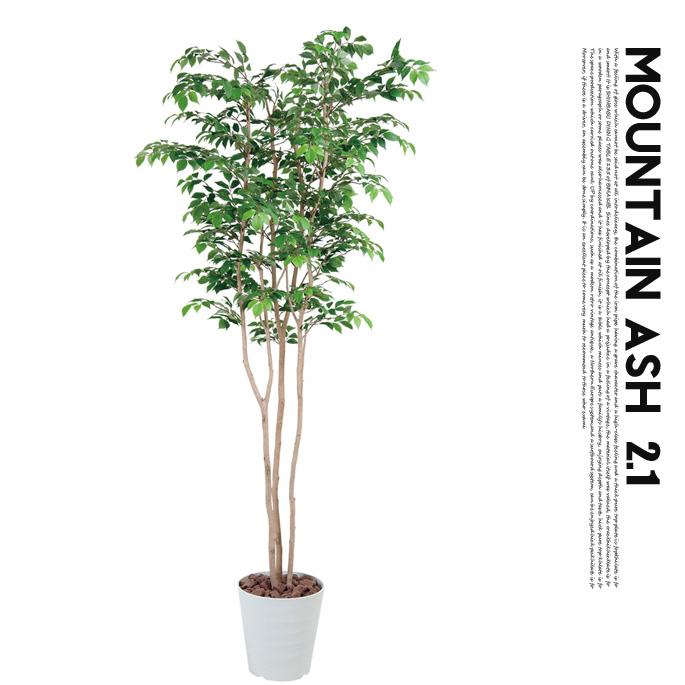 マウンテンアッシュ2.1(mountain ash ) 光触媒 イミテーショングリーン 送料無料