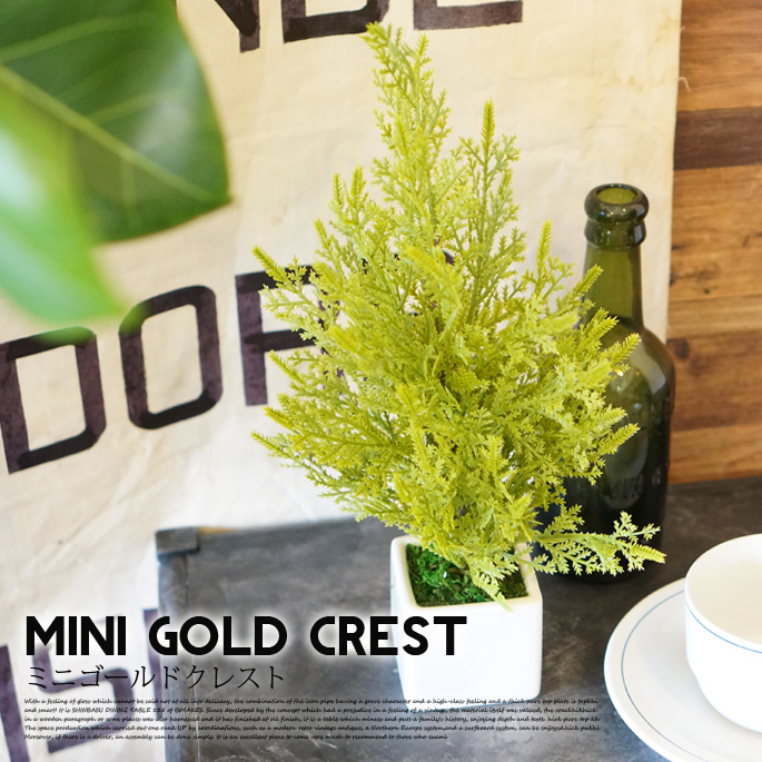 ミニゴールドクレスト 光触媒 イミテーショングリーン