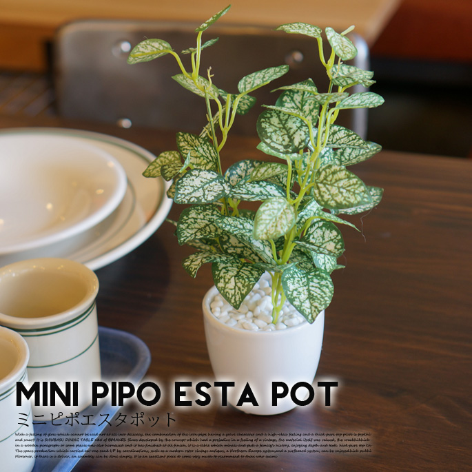 ミニピポエスタポット 光触媒 イミテーショングリーン 送料無料