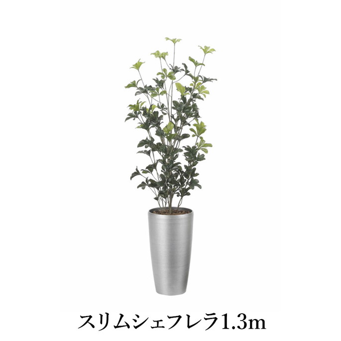 スリムシェフレラ1.3（ポリ製）   造花 光触媒 フェイクグリーン 2532A280-19 リビング 消臭 華やか