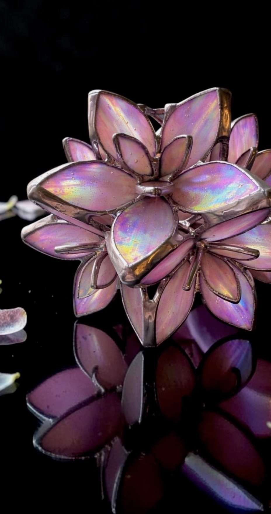 SAKURAシェード 陽光桜 802PRODUCTS