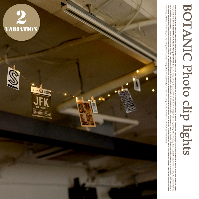 ボタニックフォトクリップライト AOL-611