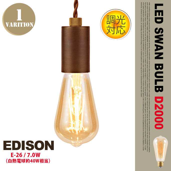 LEDスワンバルブD2000 エジソン LED SWAN BULB D2000 EDISON SWB-E058L 電球
