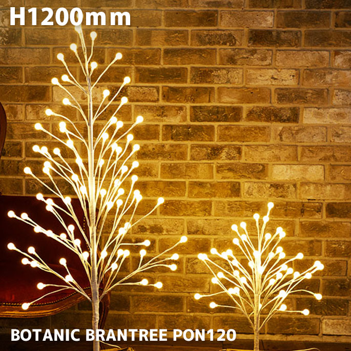 �ܥ��˥å� �֥��ĥ꡼PON120