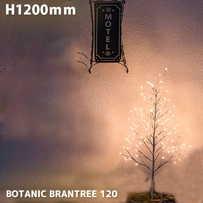 �ܥ��˥å��֥��ĥ꡼