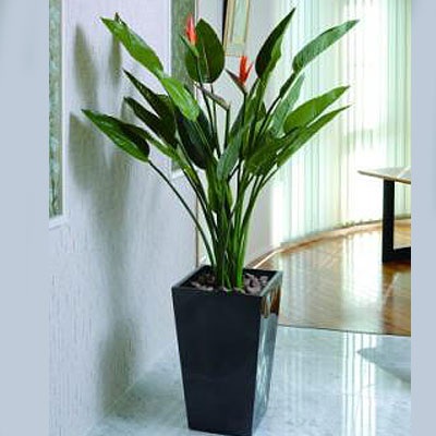 ストレチア花付  A3304-650 観葉植物（光触媒） イミテーショングリーン 【送料無料】