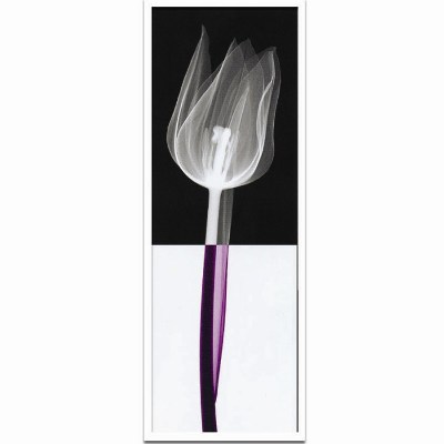 Steven N.Meyers アートフレーム ジェイアイジー(JIG) Stem3 ISM14313 【送料無料】