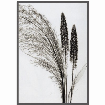 Steven N.Meyers アートフレーム ジェイアイジー(JIG) Broom Grass 【送料無料】